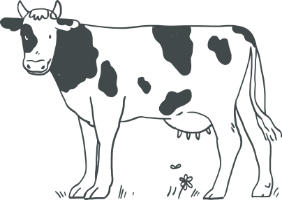 Cows are welcome!