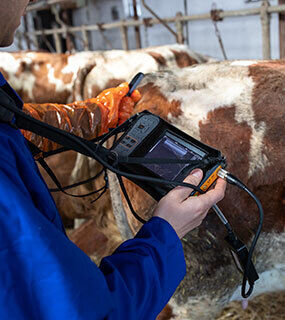 ON-SITE DIAGNOSTICS